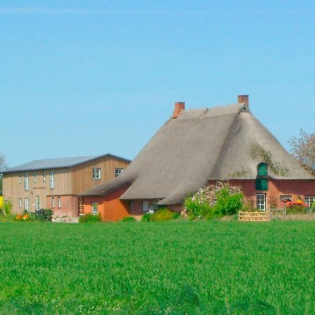 Apartamento "Hof Triangel - Whg 2" - Bauernhofurlaub Riepsdorf Exterior foto